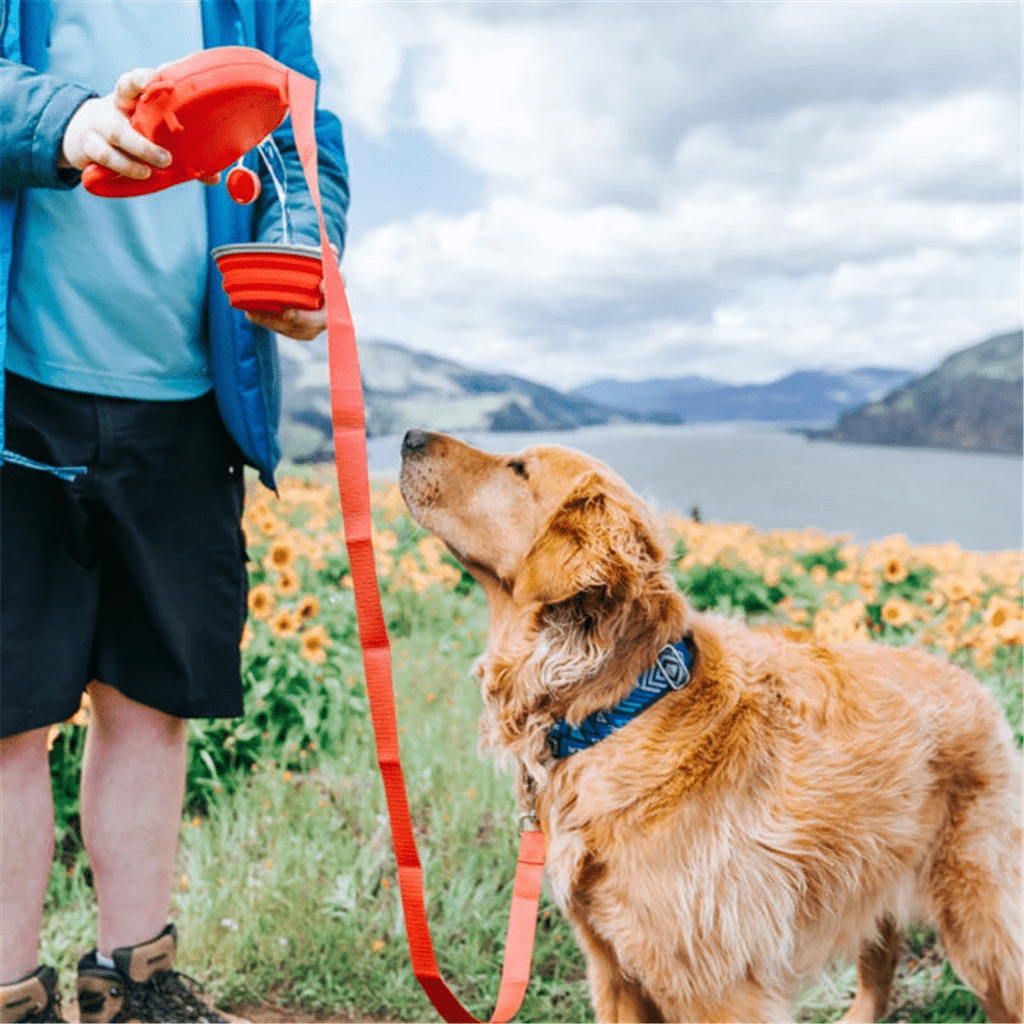 Multifunctional Dog Leash with Bowl